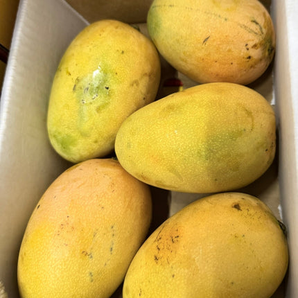 Dominicaanse mango Mingolo doos van 2kilo - TropischeSupermarkt.nl