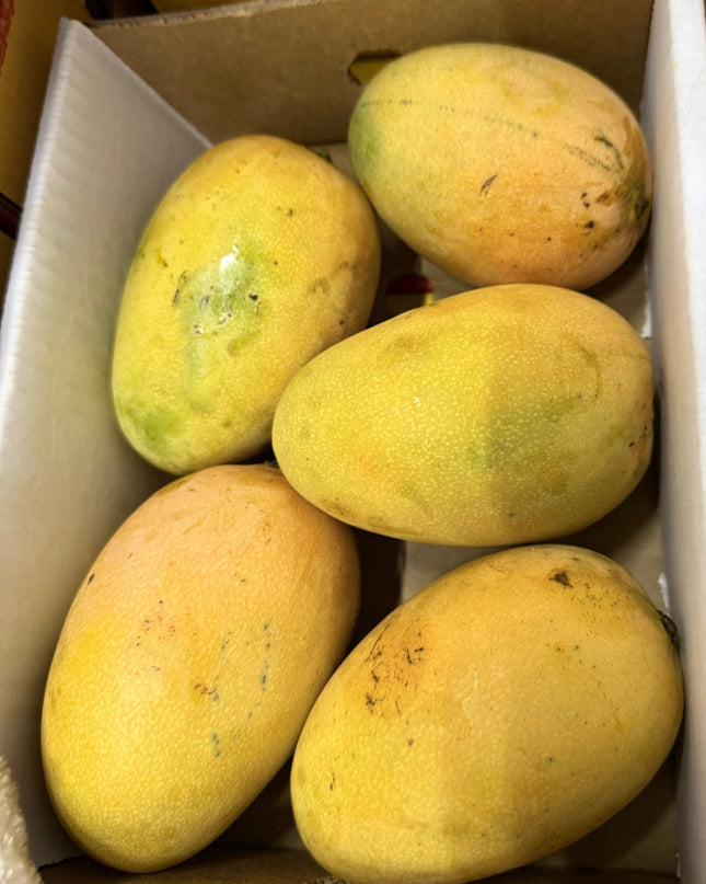 Dominicaanse mango Mingolo doos van 2kilo - TropischeSupermarkt.nl